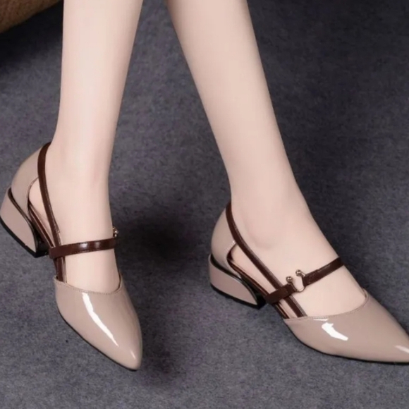 Point Toe Block Heels Pumps - Picture 1 of 5